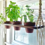 indoor-herb-garden