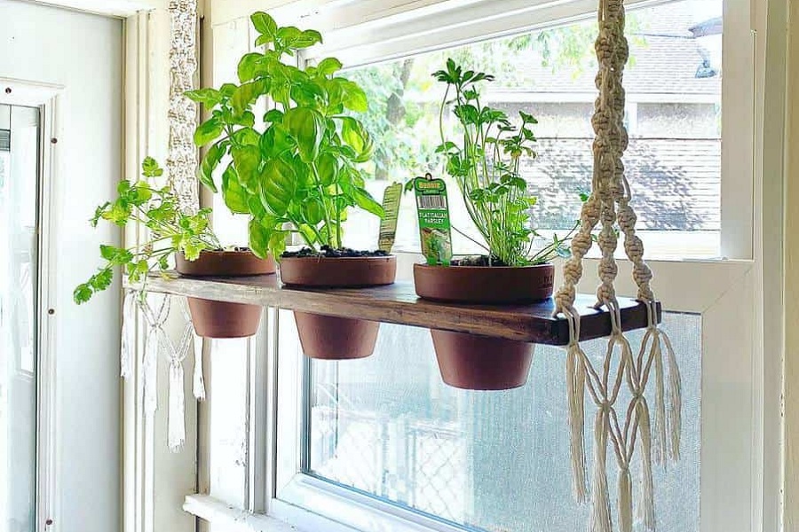 10 Amazing Indoor Herb Garden Ideas