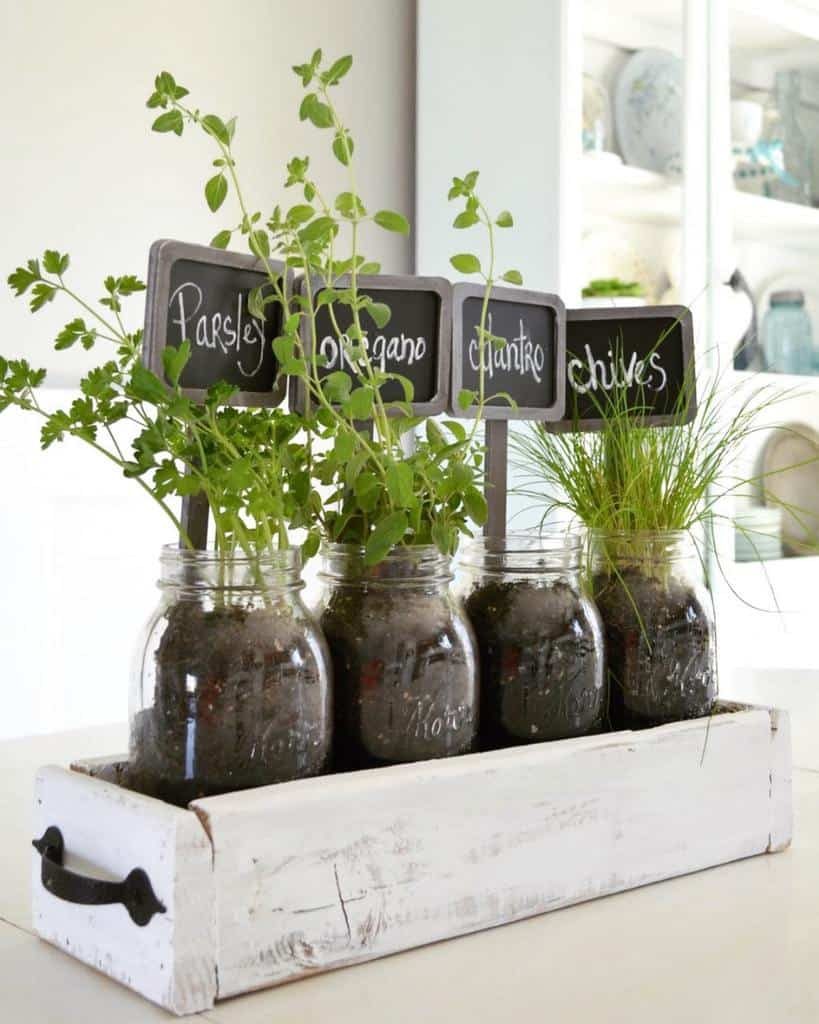 Four mason jars with parsley, oregano, cilantro, and chives placed in a white wooden tray with chalkboard labels