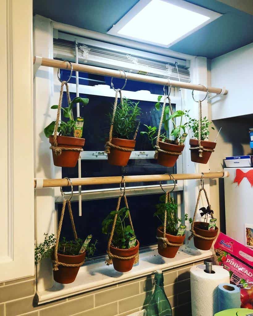 Hanging herb garden in terracotta pots suspended by ropes in a kitchen window, with various plants in two rows