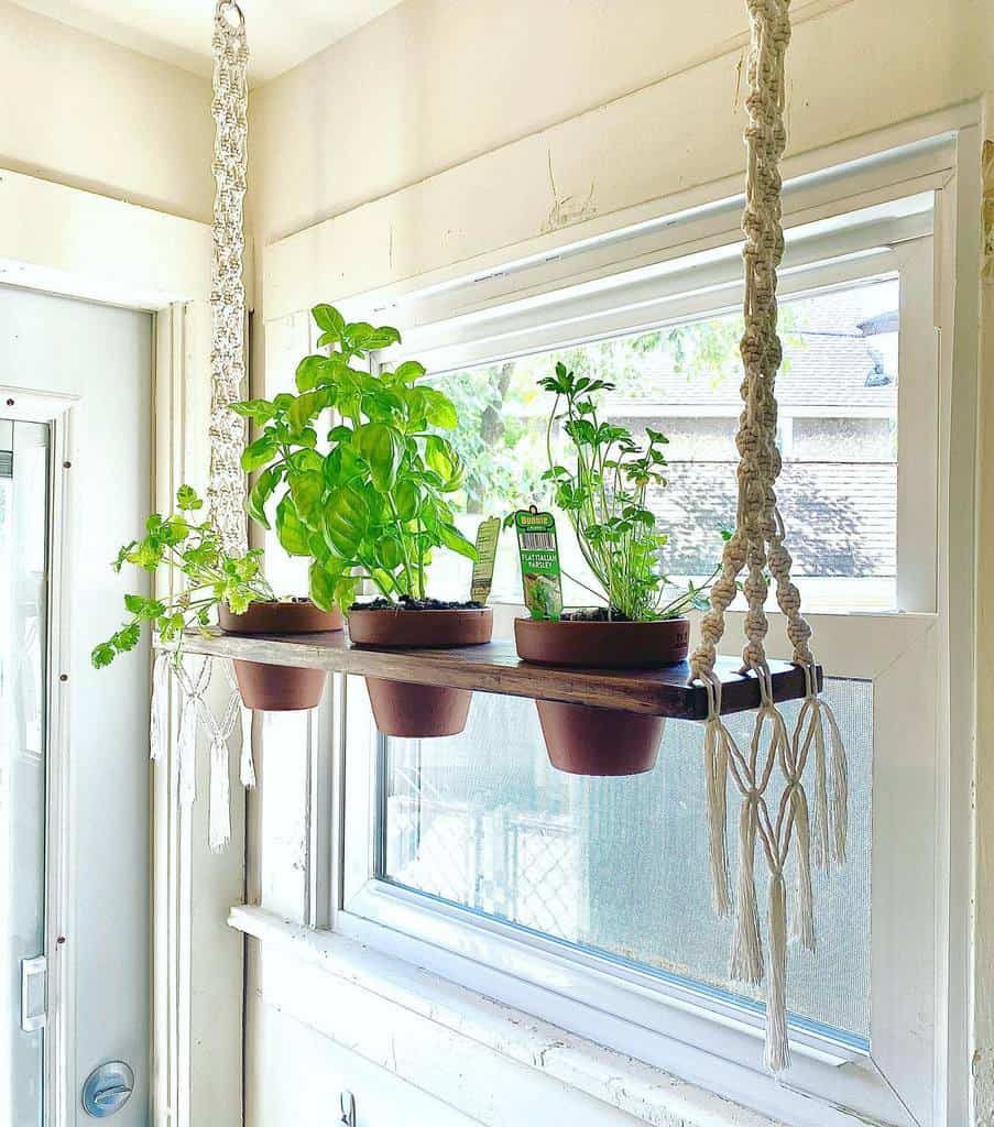 A hanging shelf with potted herbs in a bright room by the window, featuring macramé ropes and green plants in terracotta pots