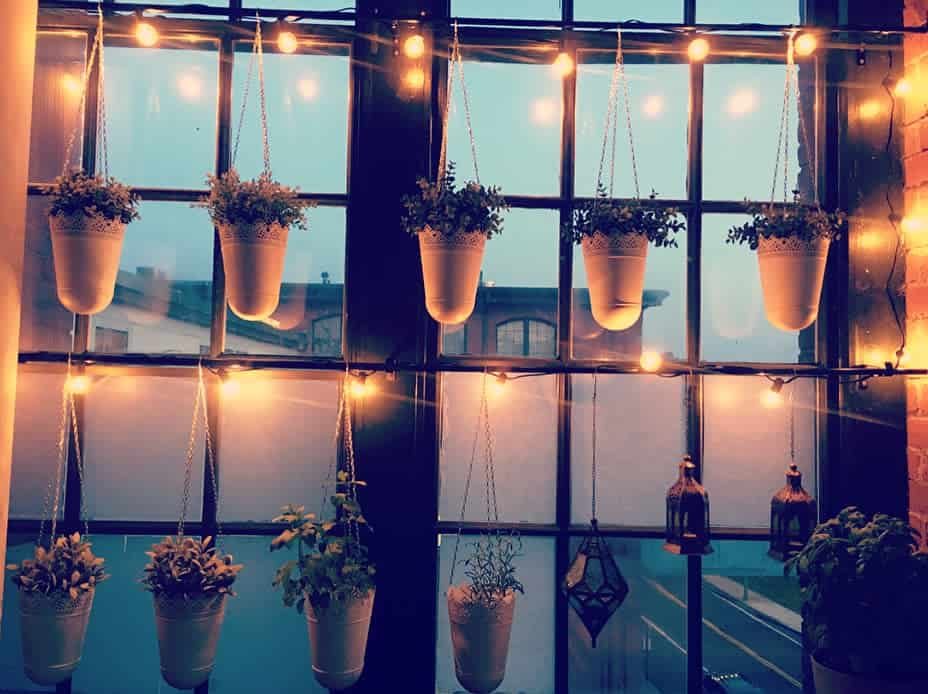 Hanging plants and string lights on a window, creating a cozy ambiance against a backdrop of an urban skyline at dusk