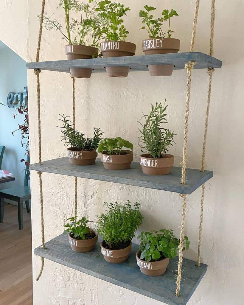 Hanging shelves with potted herbs: dill, cilantro, parsley, rosemary, basil, lavender, mint, thyme, oregano on a light wall