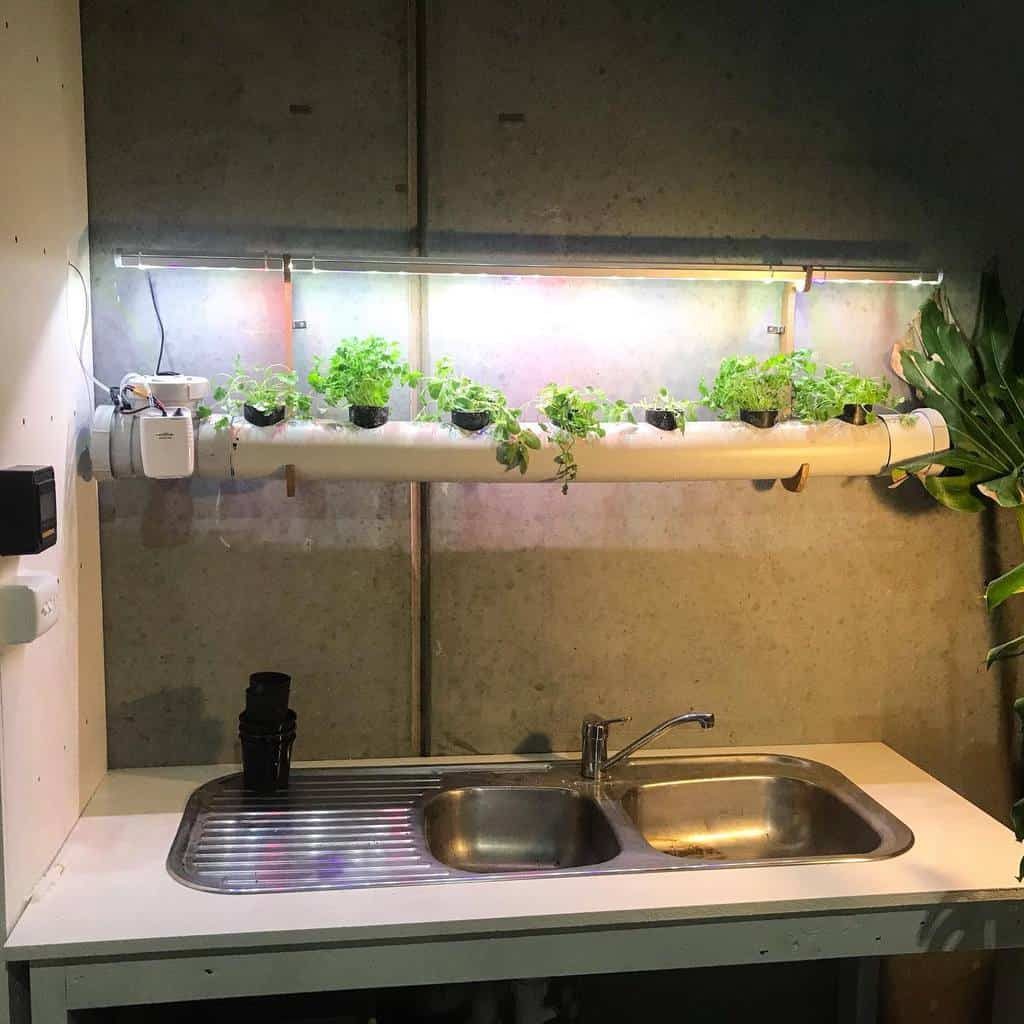 A kitchen sink with a double basin and drainer, underneath a wall-mounted hydroponic system growing plants in a tube with LED lights