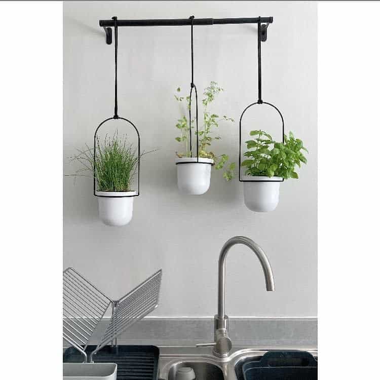 Modern hanging herb garden with white pots holding chives, basil, and parsley, suspended above a kitchen sink for easy access