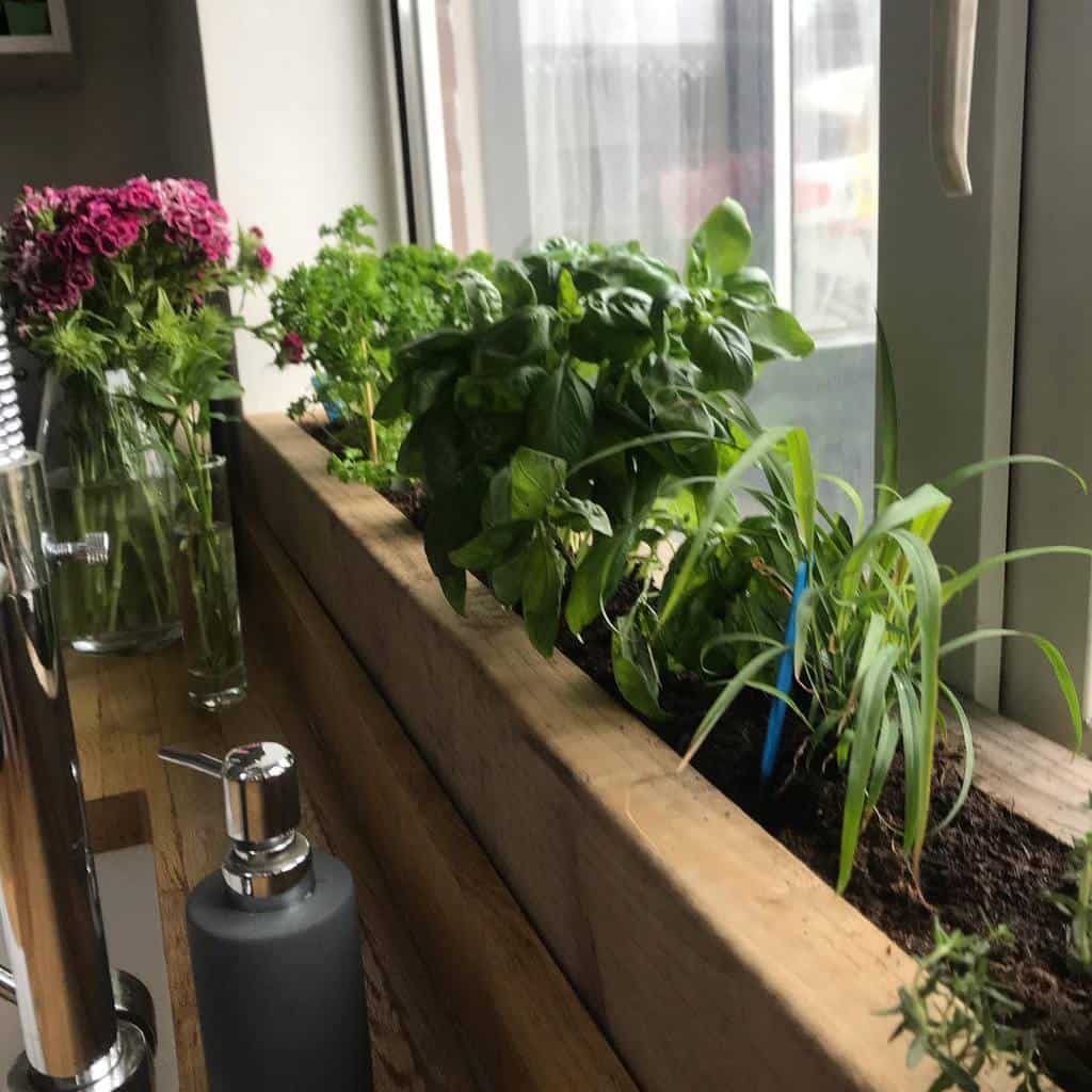 Herbs and plants growing in a wooden planter by a window, with flowers in a vase nearby and a soap dispenser visible