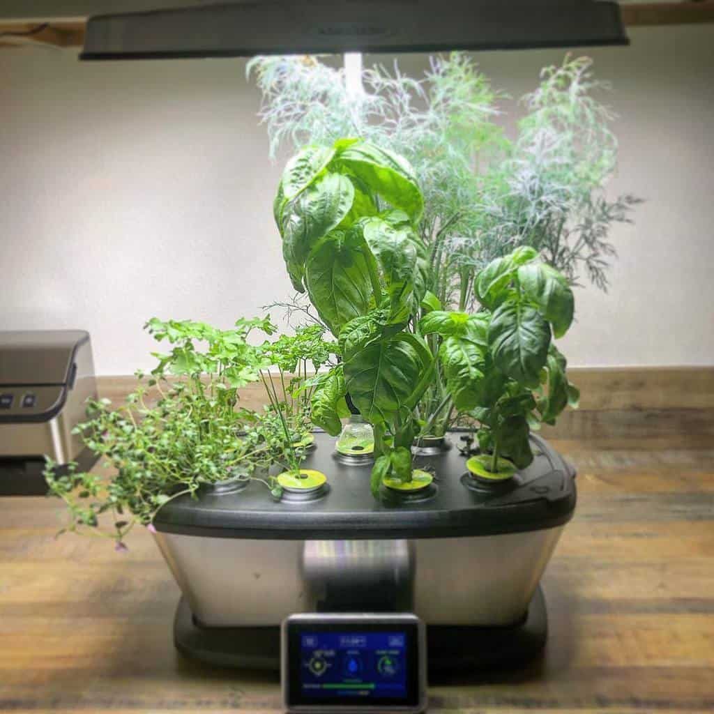 Indoor hydroponic garden with various herbs growing under LED lights on a wooden surface