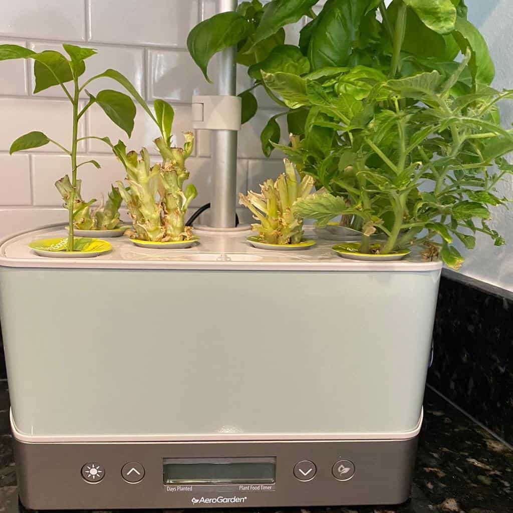 A white AeroGarden with various herbs and plants growing, placed on a kitchen counter