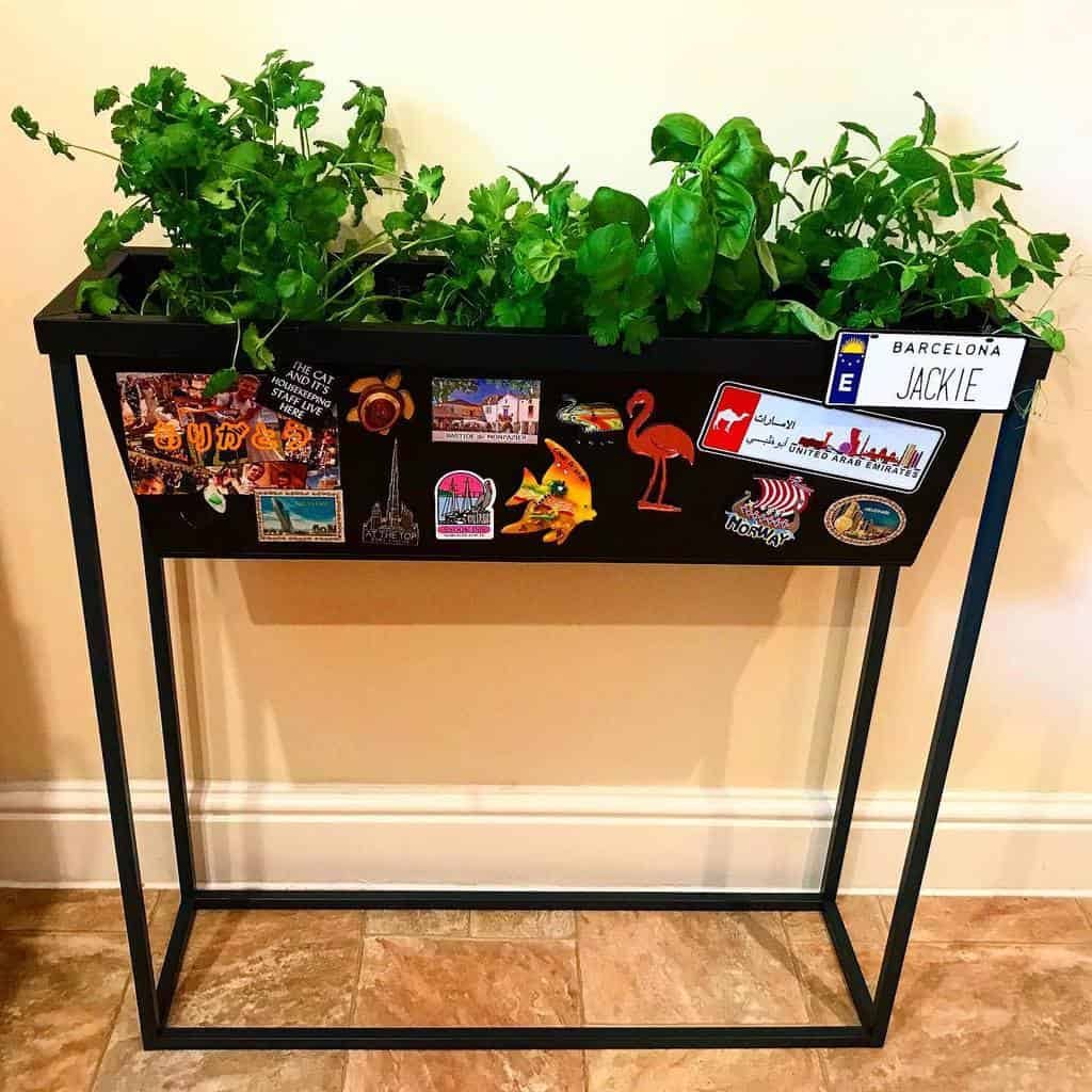 Indoor herb garden in a black metal planter decorated with travel stickers, growing basil and parsley for a fresh kitchen setup