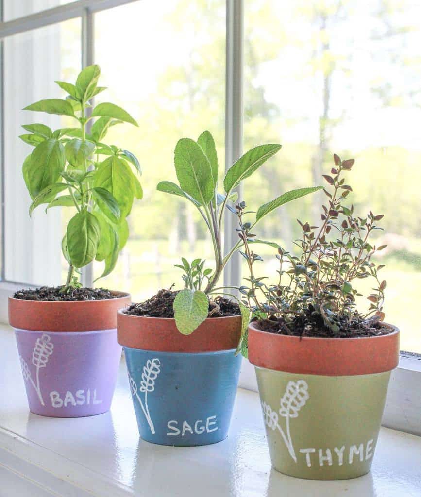 Windowsill herb garden with basil, sage, and thyme in colorful hand-painted pots, adding a fresh and decorative touch to the space