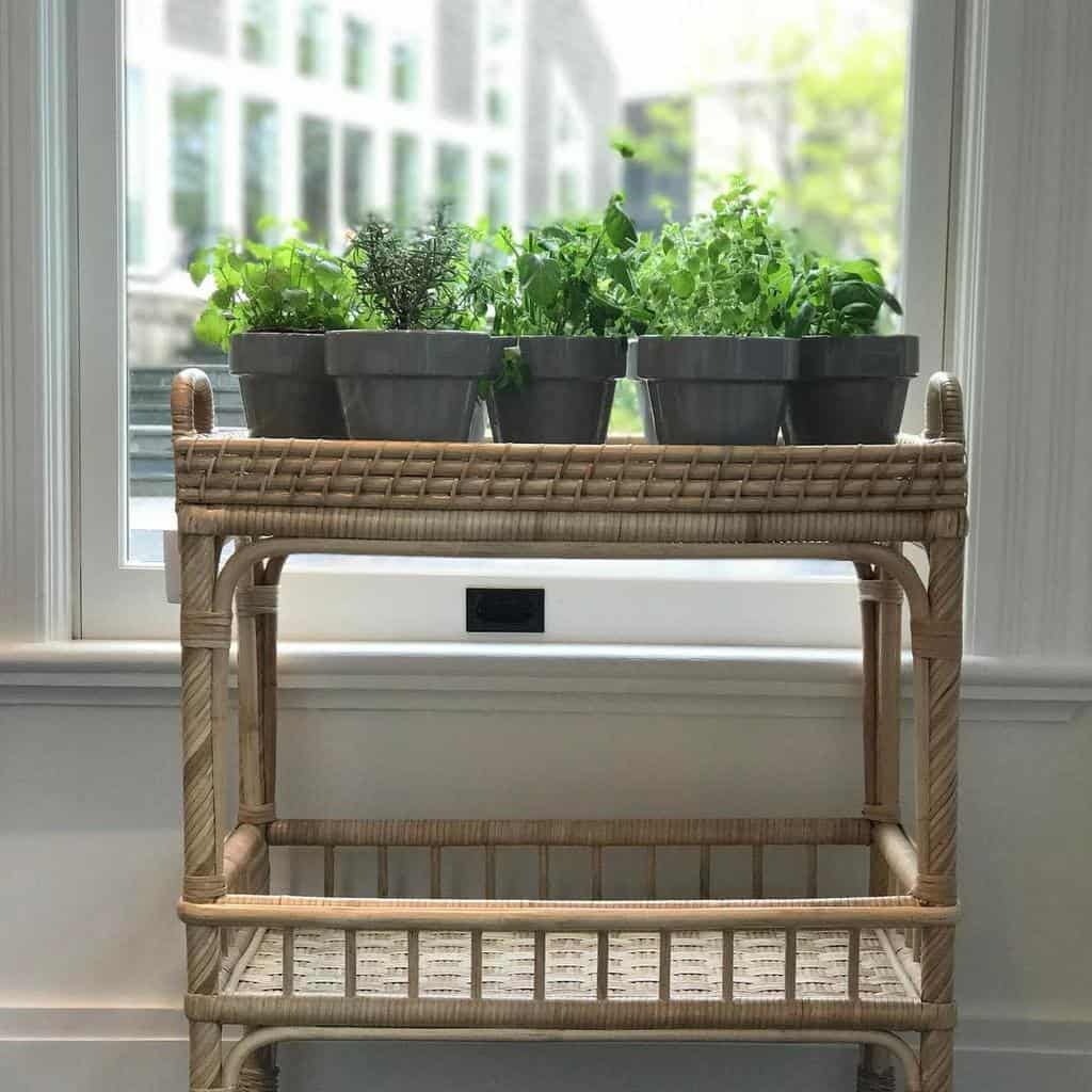 Wicker plant stand with potted herbs, placed in front of a window