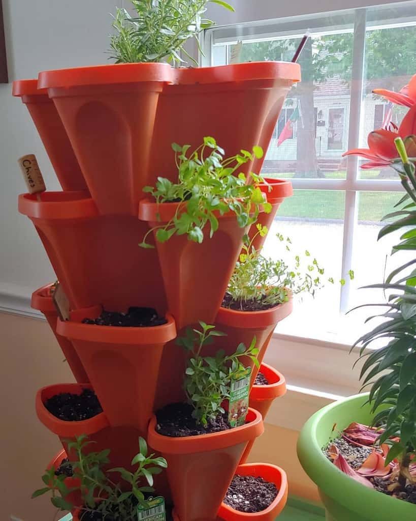 Vertical indoor herb garden with stacked orange planters growing rosemary, chives, and other fresh herbs by a sunny window