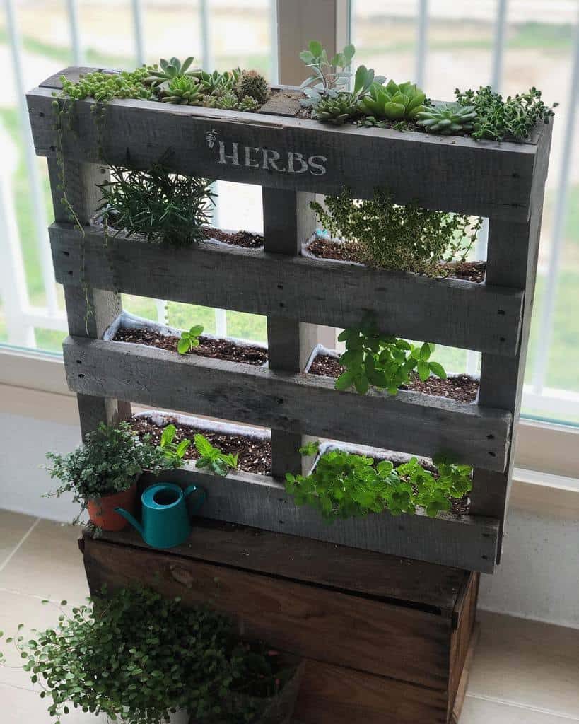 Wooden pallet herb garden with various plants, labeled "HERBS," on a crate with a small blue watering can beside it indoors