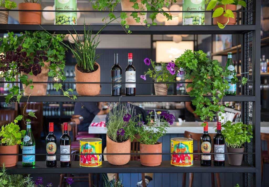 Shelves with wine bottles, potted plants, and decorative cans create a cozy and vibrant atmosphere in a bar setting