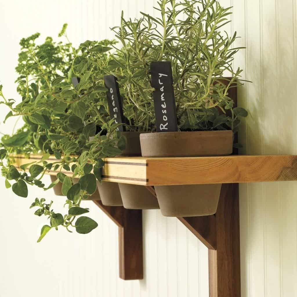 Herbs in pots labeled oregano and rosemary on a wooden wall shelf