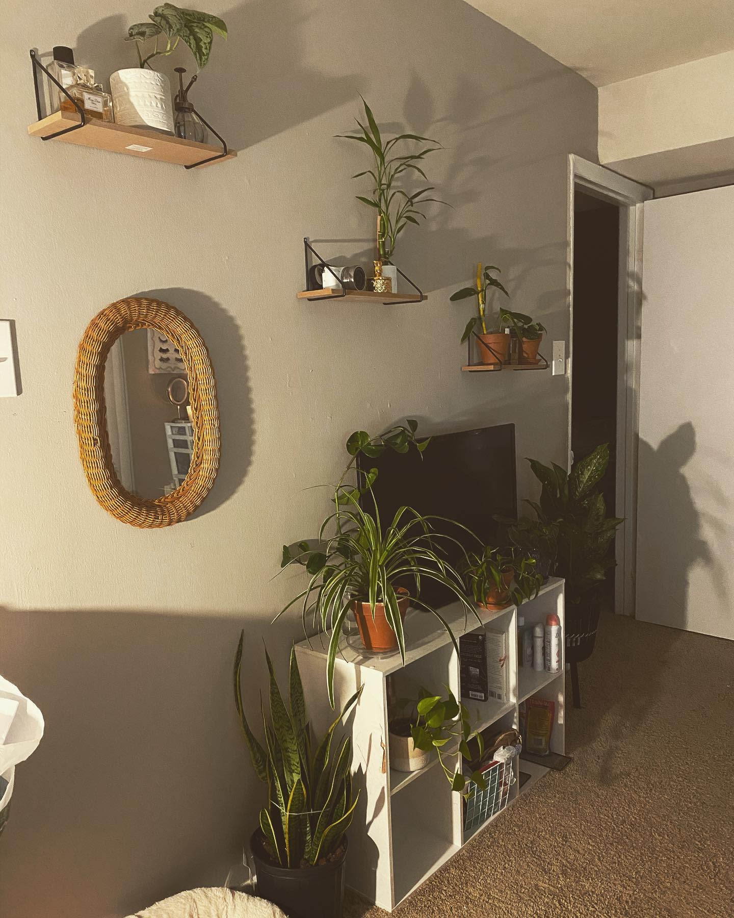 room with floating shelves