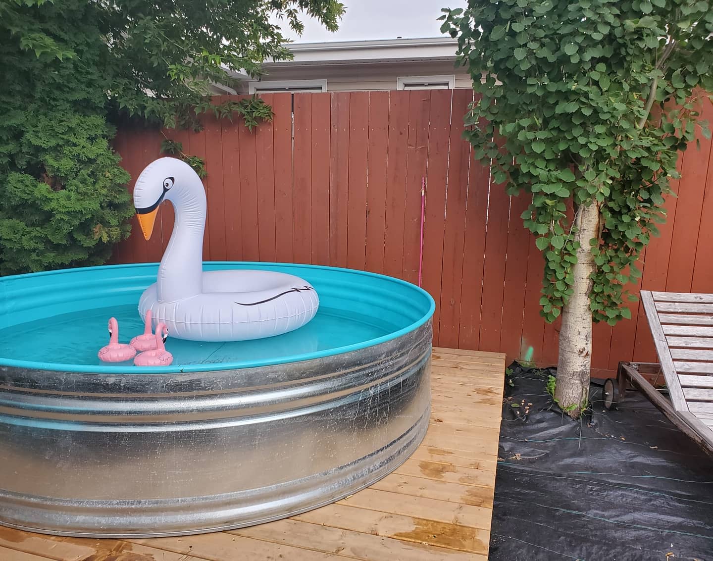 Round metal pool with an inflatable swan and two pink flamingo floats on a wooden deck, next to a red fence and trees