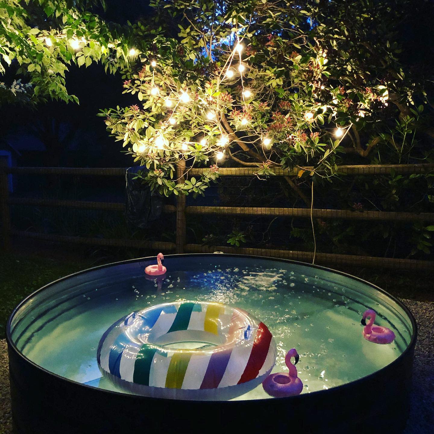 An illuminated pool at night with a colorful float and pink flamingo cup holders, while string lights hang above a tree