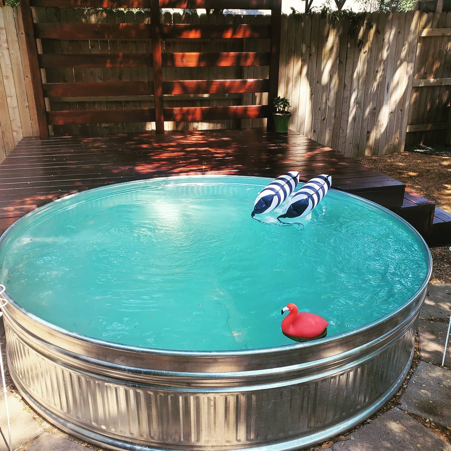 Round metal pool with clear water, two inflatable zebra floats, and a red duck float in a backyard with wooden deck and fence