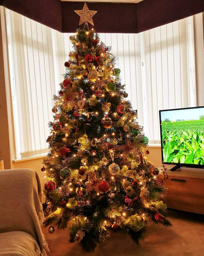 A decorated Christmas tree with ornaments and lights stands in a cozy room, next to a TV displaying a nature scene