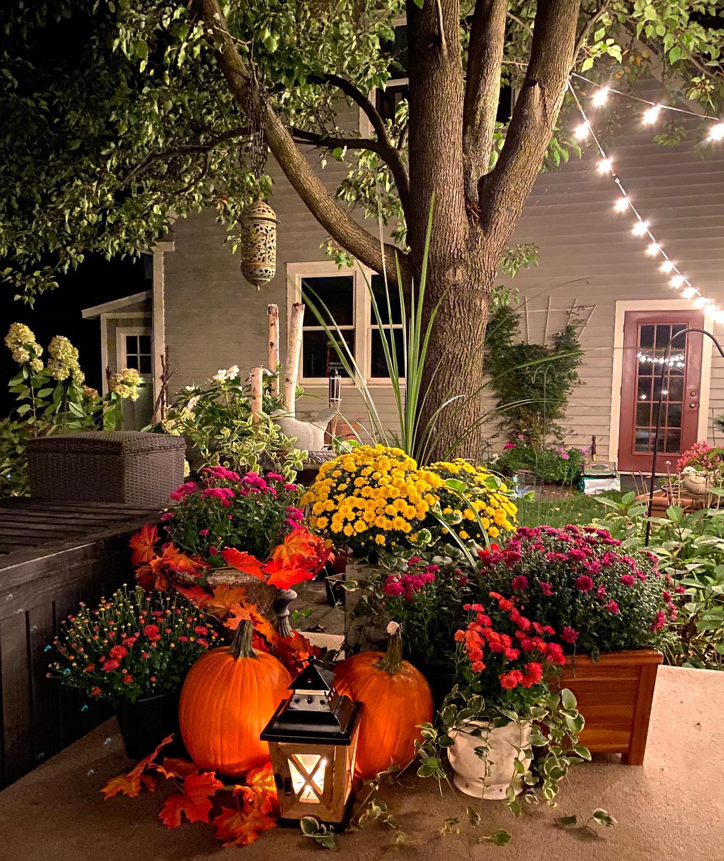 Nighttime garden scene with pumpkins, colorful flowers, and a lantern under a tree, string lights and a house in the background