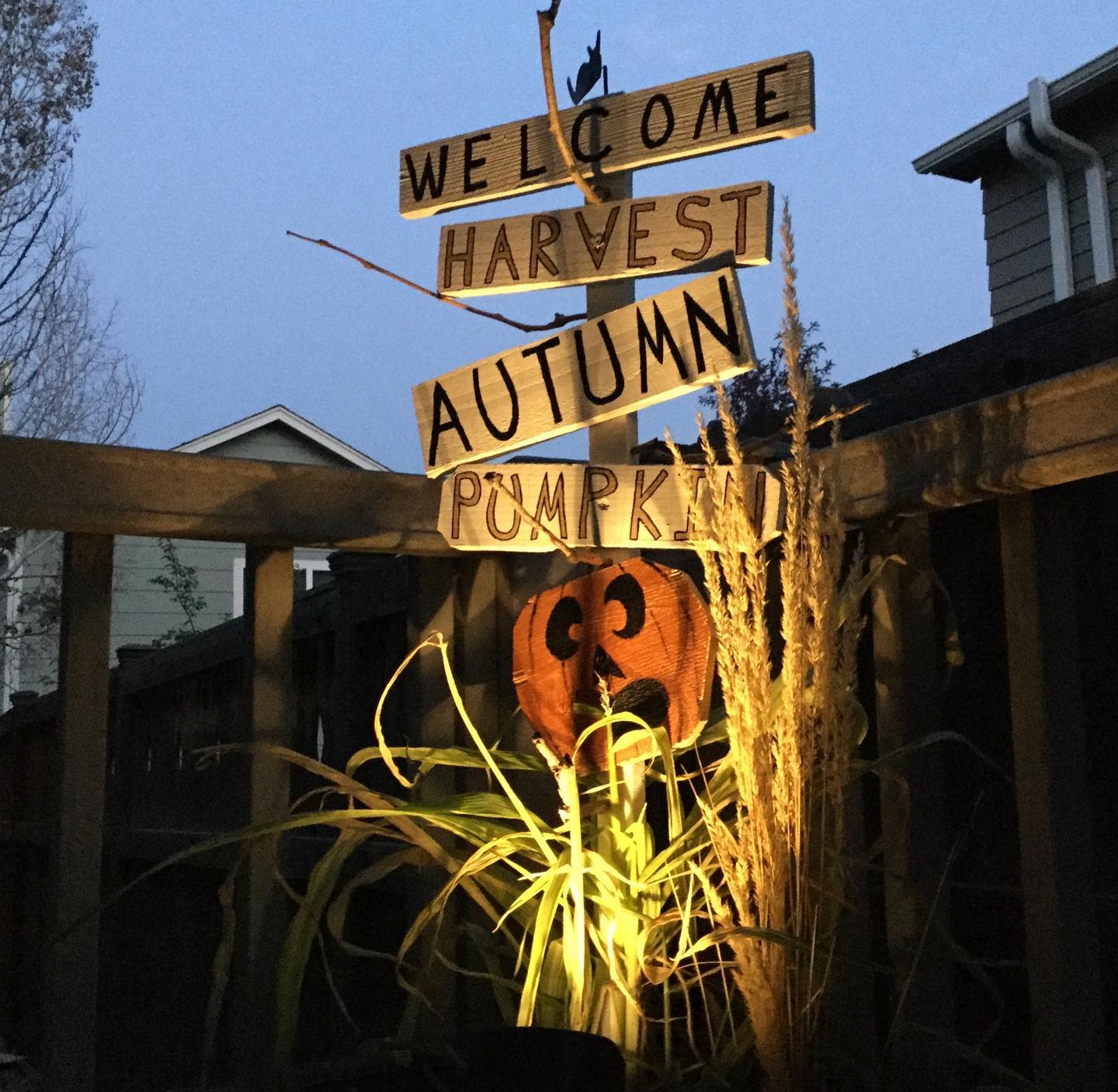 Wooden signs with "Welcome," "Harvest," "Autumn," and "Pumpkin" atop a fence among plants, featuring a pumpkin face below