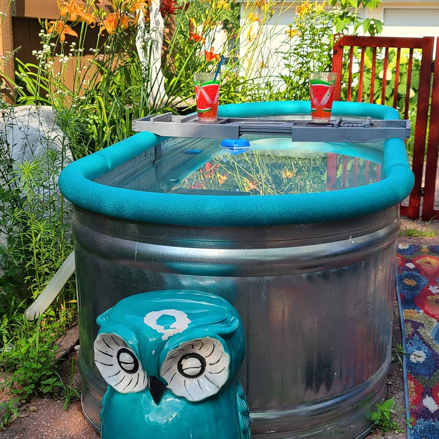 Metal tub pool with blue rim in a garden: two drinks on a float, decorative blue owl in front, lush plants surround the area