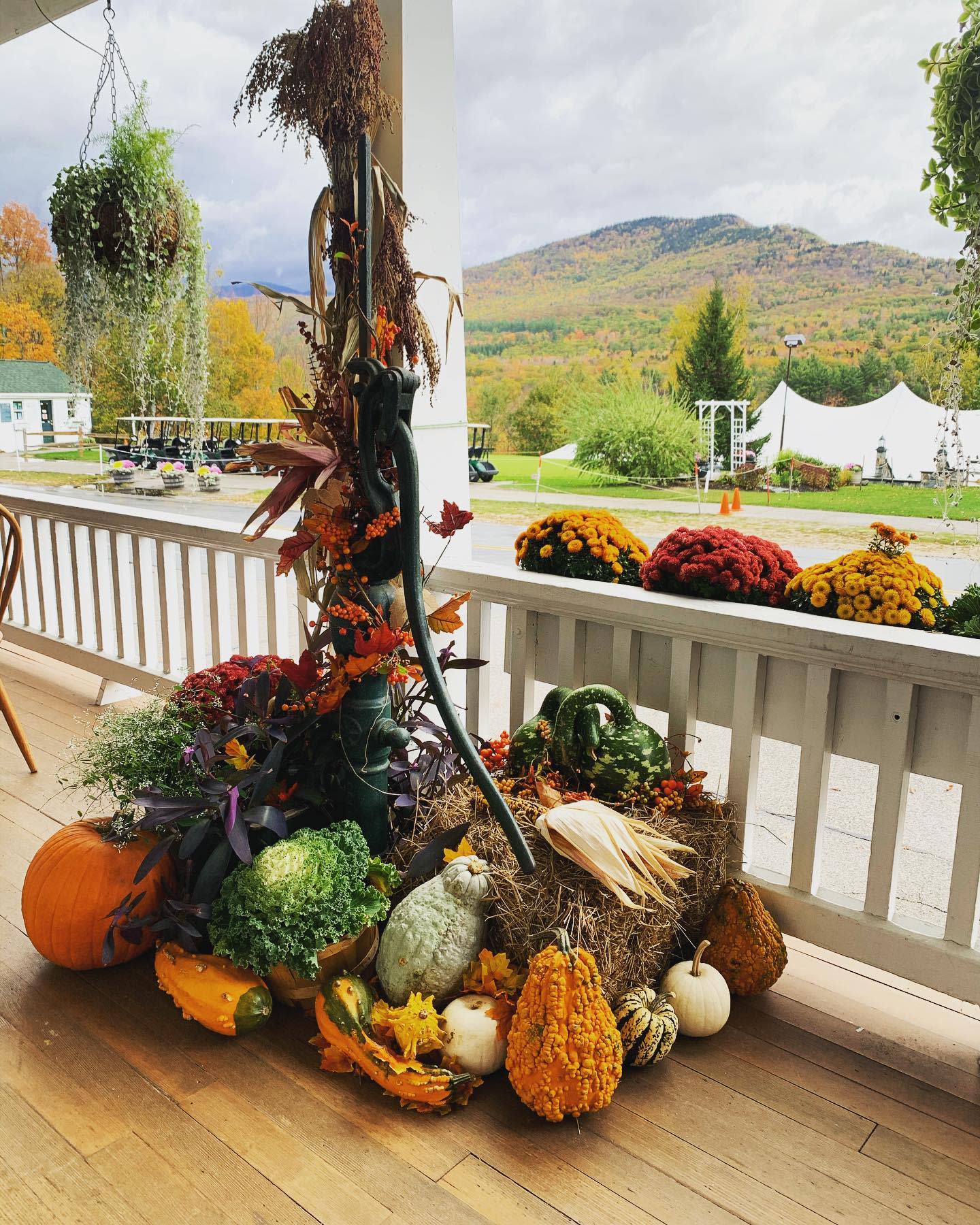 Autumn display with pumpkins, gourds, and flowers on a porch with mountains in the background