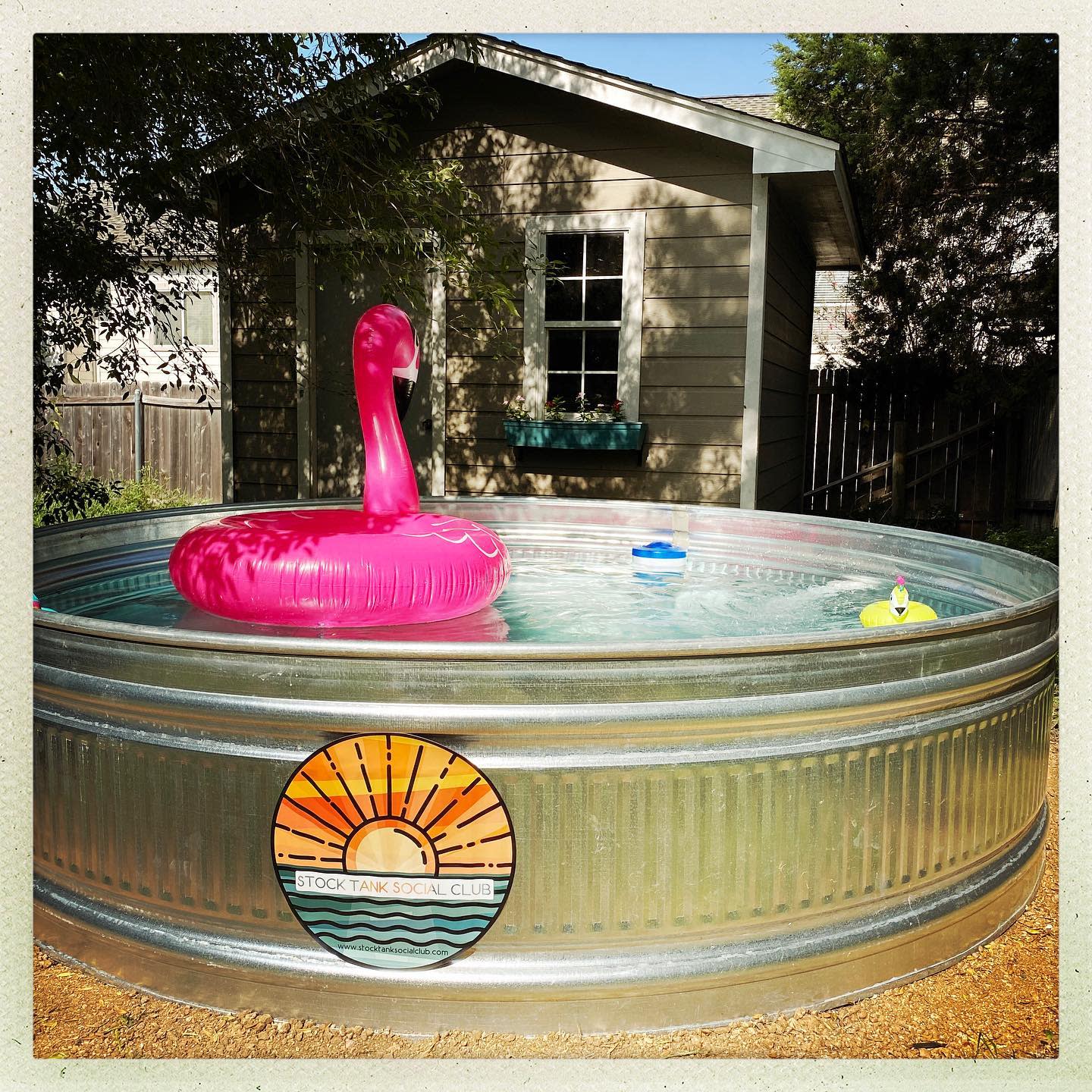 A galvanized stock tank pool with a pink flamingo float and rubber duckies, featuring a small shed in the background and a sun emblem on the tank