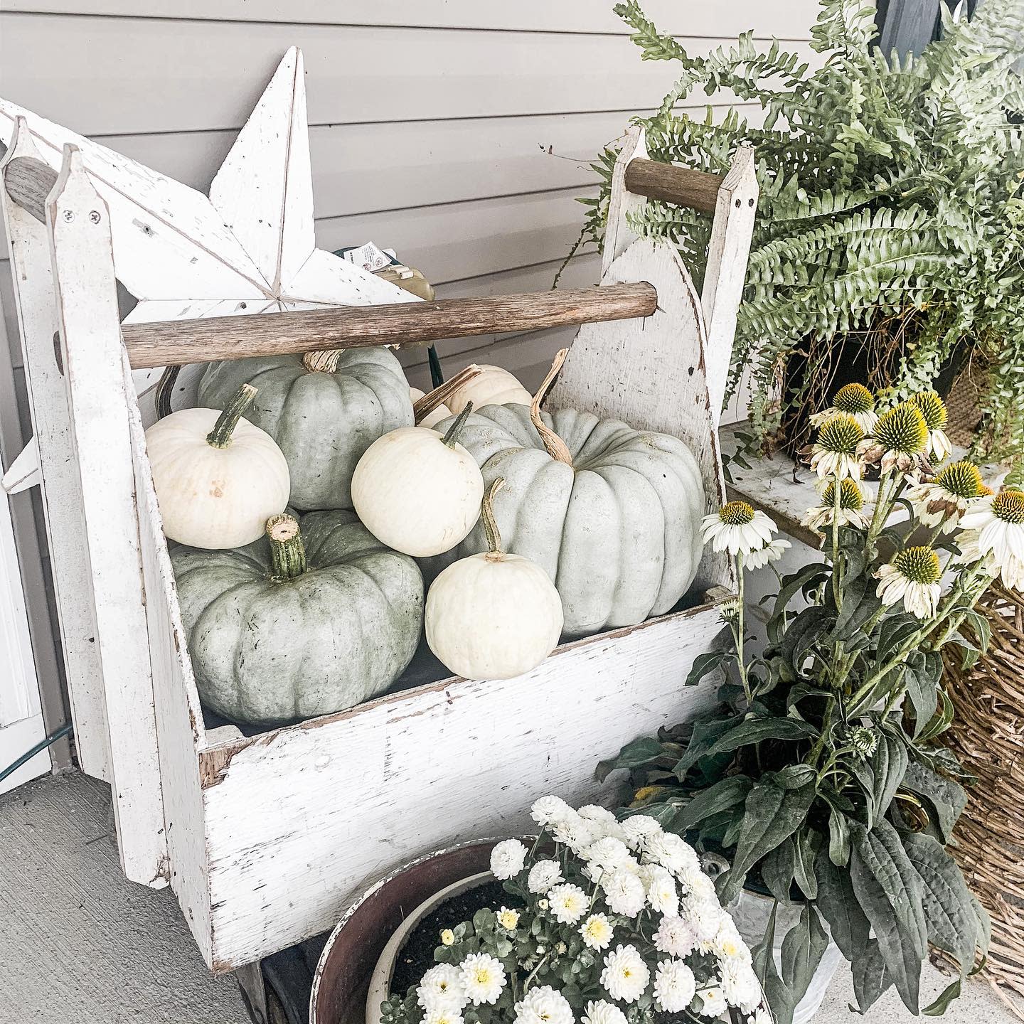 Rustic white toolbox filled with green and white pumpkins next to flowers and ferns