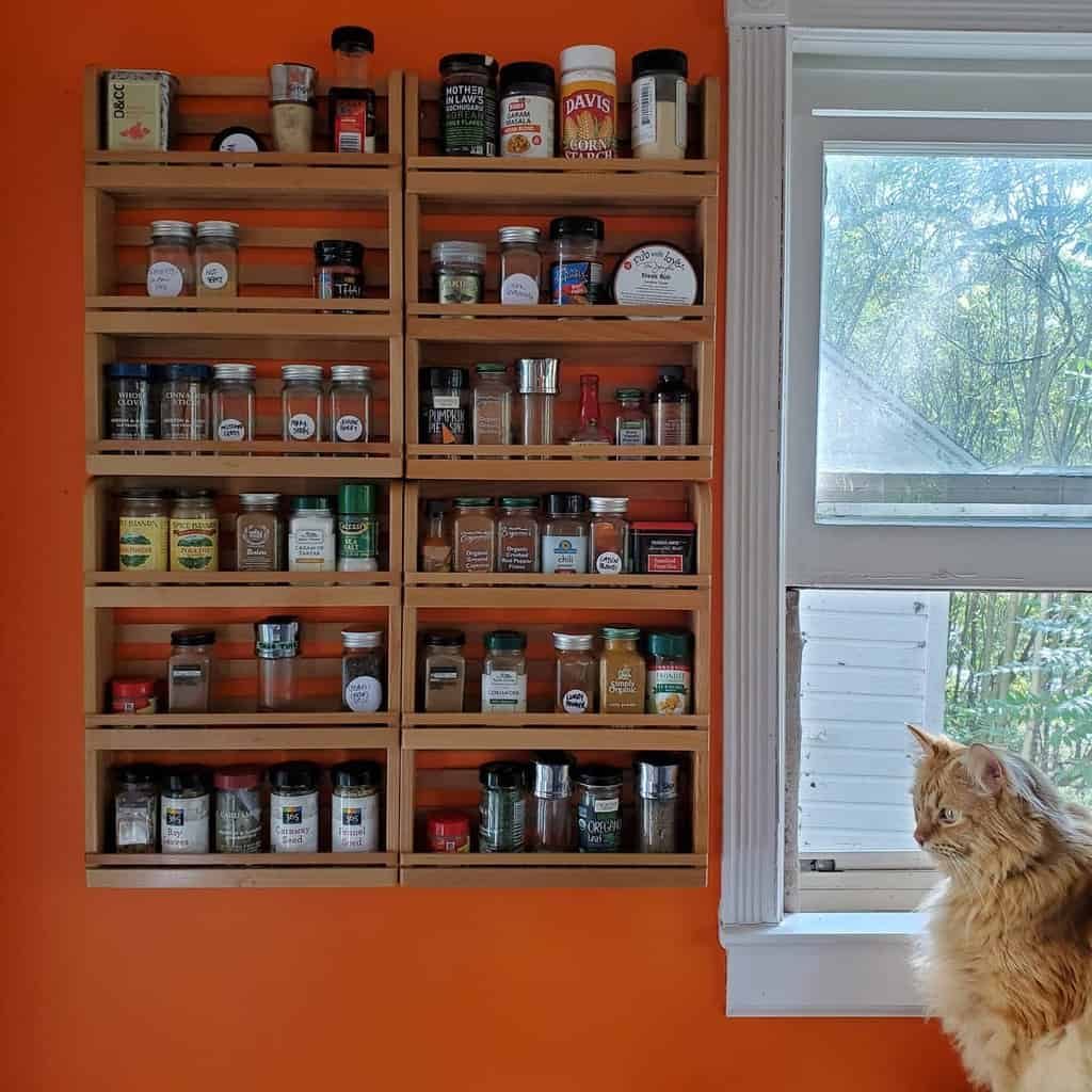 Wooden spice rack on a bold orange wall, filled with assorted spice jars, while a curious cat watches from the window ledge