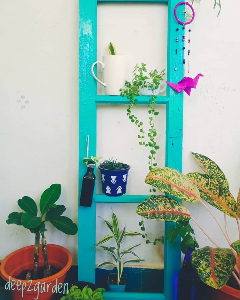 Repurposed old window frame painted turquoise, transformed into a vertical garden shelf with potted plants, hanging decor, and greenery.