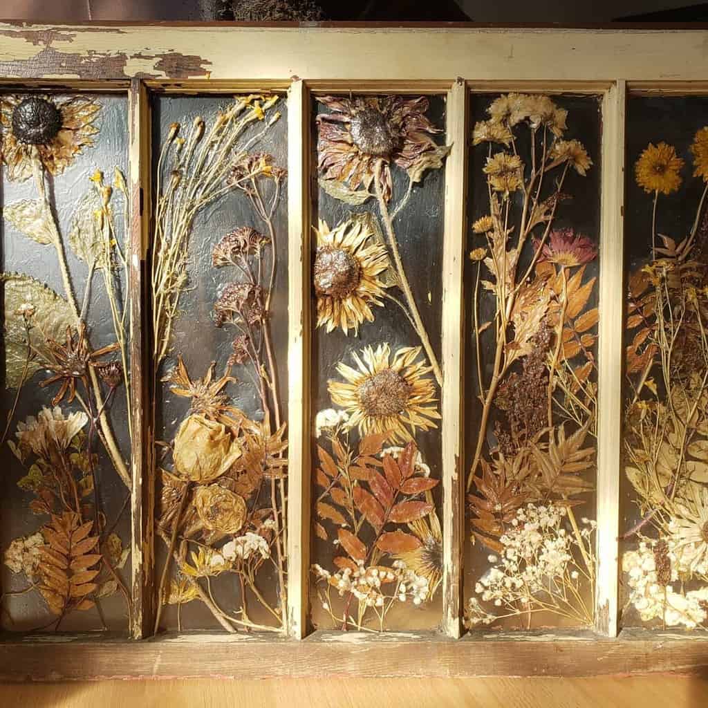 Old window framed dried flowers 