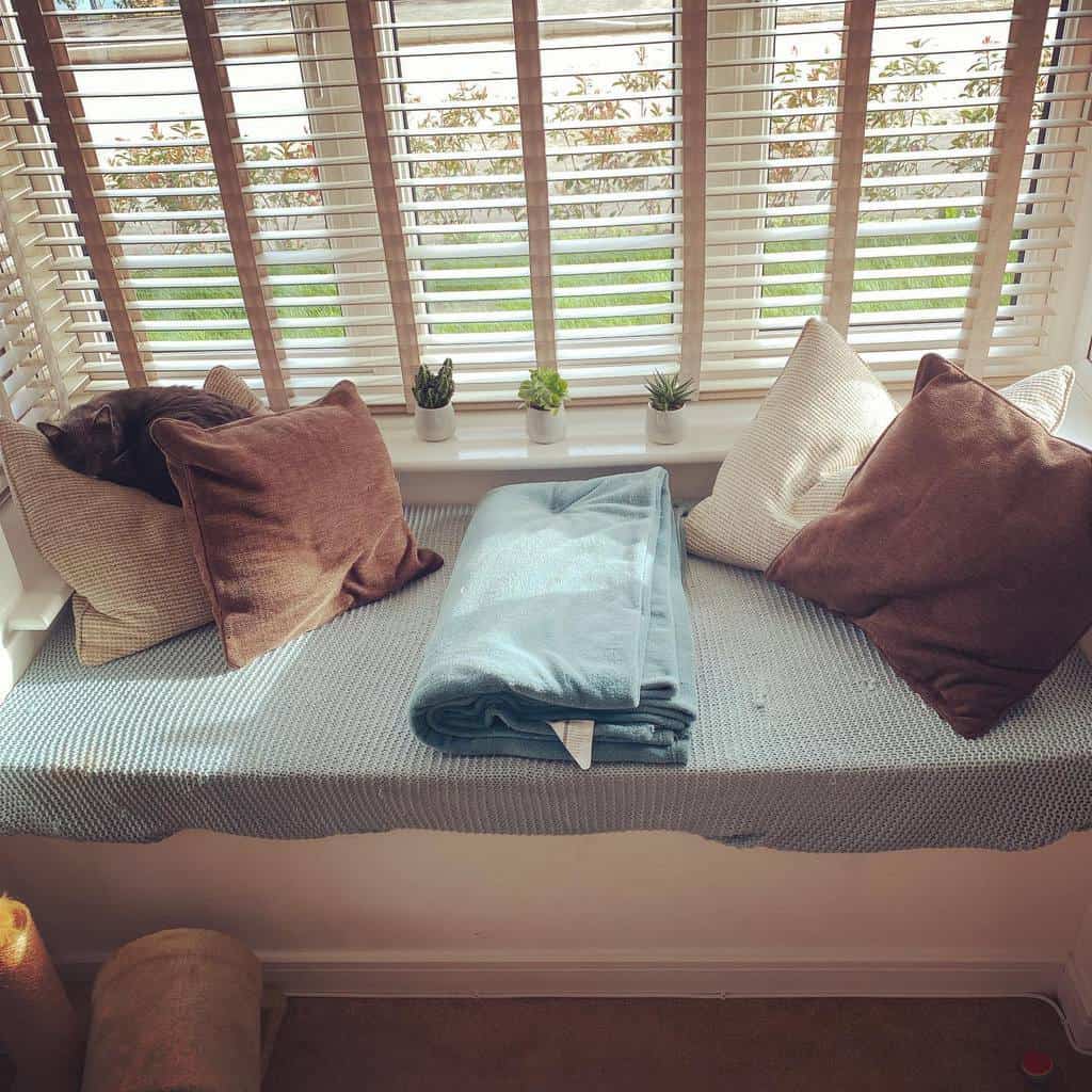 Cozy bay window nook with wooden blinds, soft cushions, a warm throw, and a cat enjoying the sunlight, creating a perfect relaxation spot.