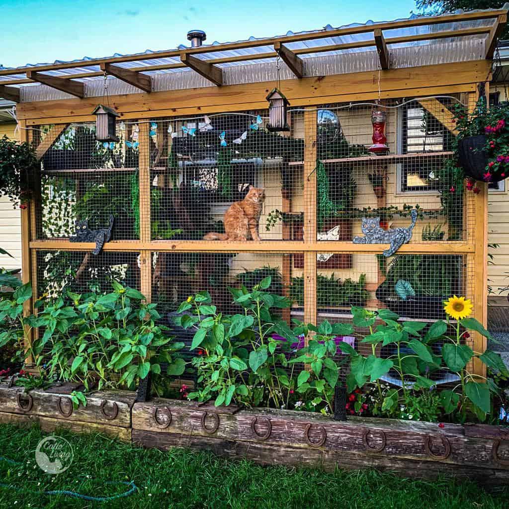 A cozy wooden catio attached to a house, with a cat inside, surrounded by greenery and sunflowers under a clear sky