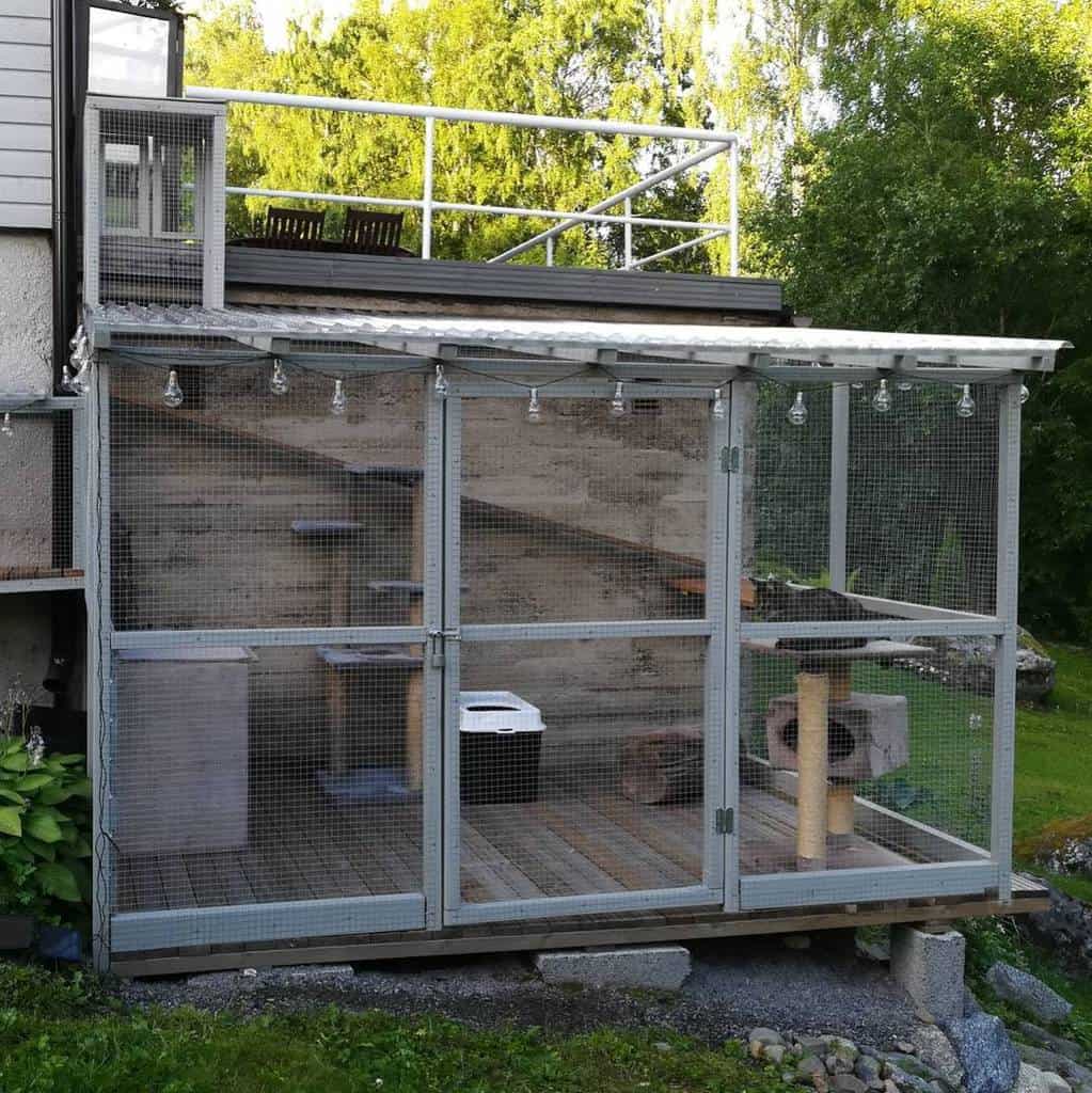 Large sized cat enclosure with roof