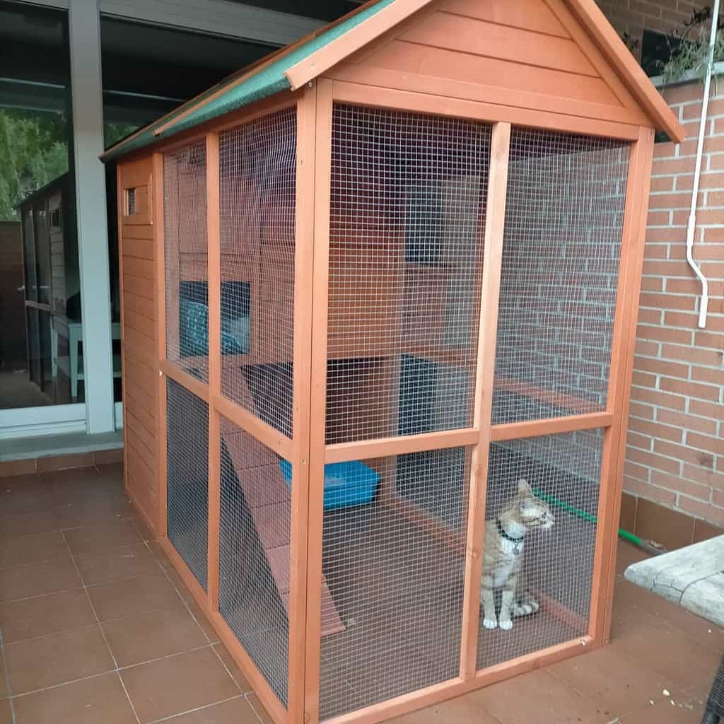 Wooden outdoor cat enclosure with mesh walls, a slanted roof, and platforms inside, with a cat sitting at the doorway looking outside