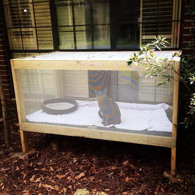 A wooden outdoor enclosure with a brown animal inside, standing on its hind legs, with a bowl and leaves on the ground