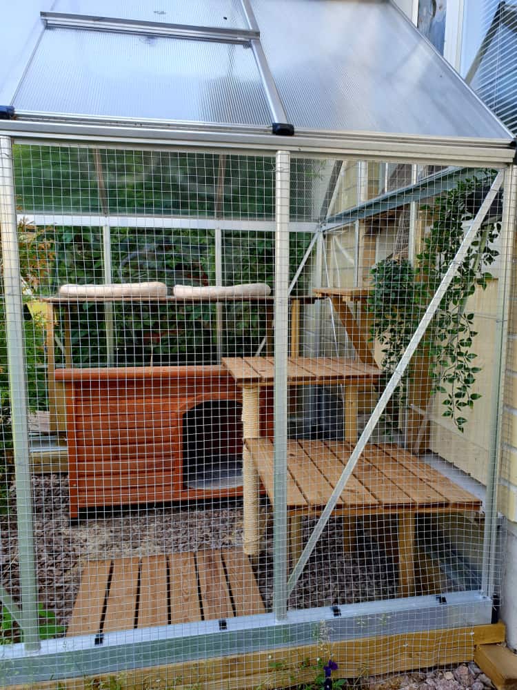  large-sized cat enclosure with roof