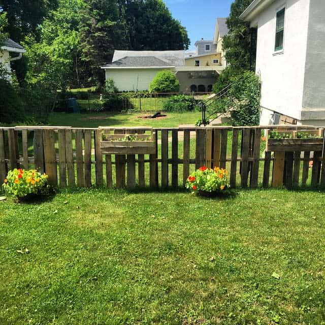 DIY pallet fence with built-in planters and colorful flowers, creating a rustic and eco-friendly backyard enclosure