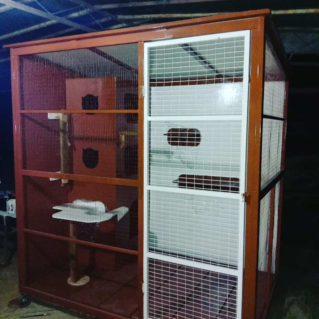 Spacious brown and white catio with mesh walls, enclosed sleeping areas, climbing structures, and a secure outdoor play space for cats