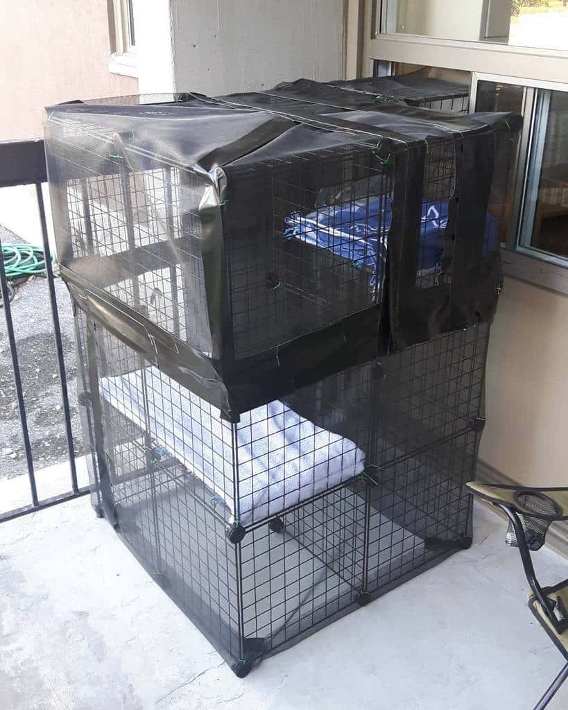 Stacked black wire cages with bedding inside, situated on a balcony near a window and railing