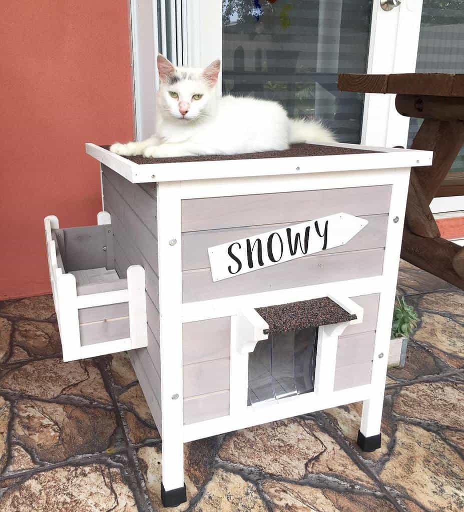 White cat lounging on a stylish wooden cat house with a personalized 'Snowy' sign, a covered entrance, and a side balcony