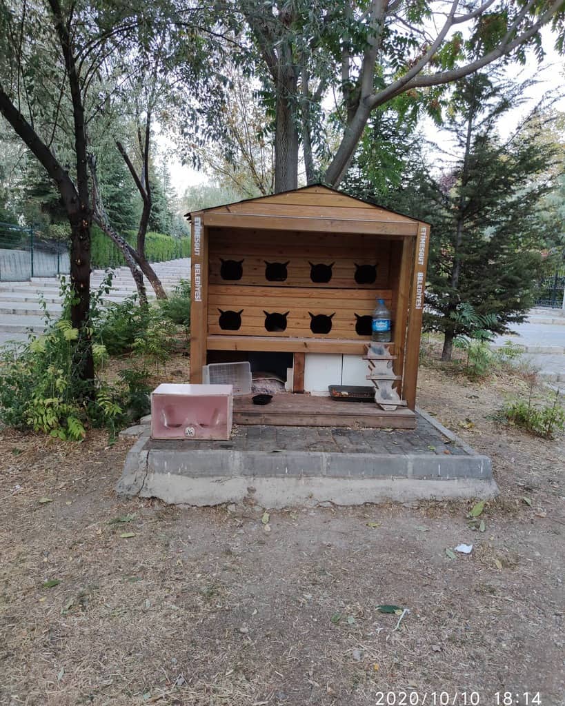 Large wooden outdoor cat shelter with multiple cat-shaped entrances, food and water stations, and a small ramp for easy access