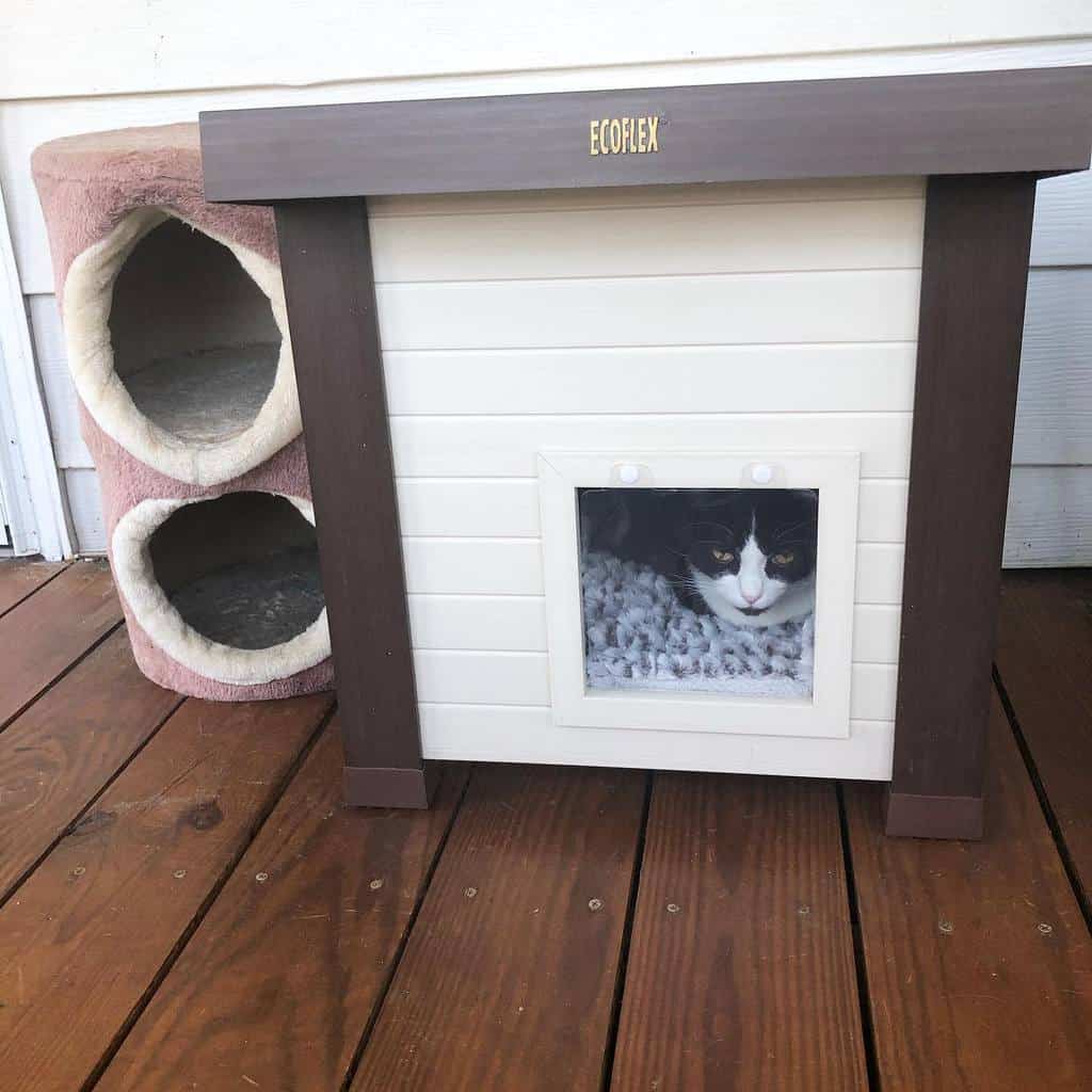 Cat sits inside a white and brown pet house with a window on a wooden porch next to a pink two-level cat tower