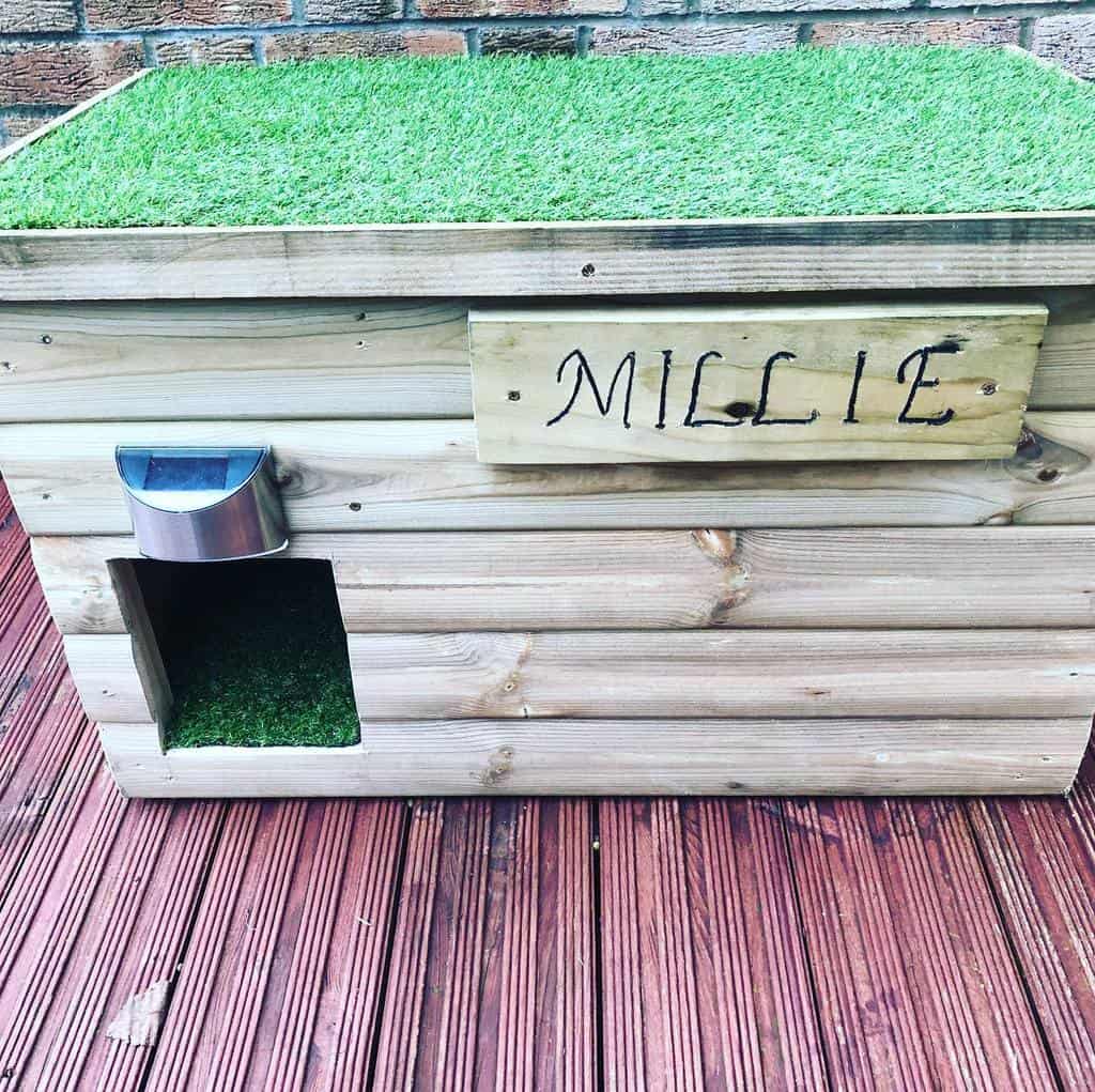 Rustic wooden cat house with a grass-covered roof, a personalized 'Millie' sign, and a small entrance with a solar-powered light