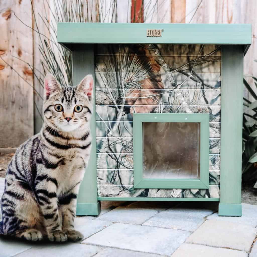 Tabby cat sitting next to a green and camo-patterned outdoor cat house on a patio