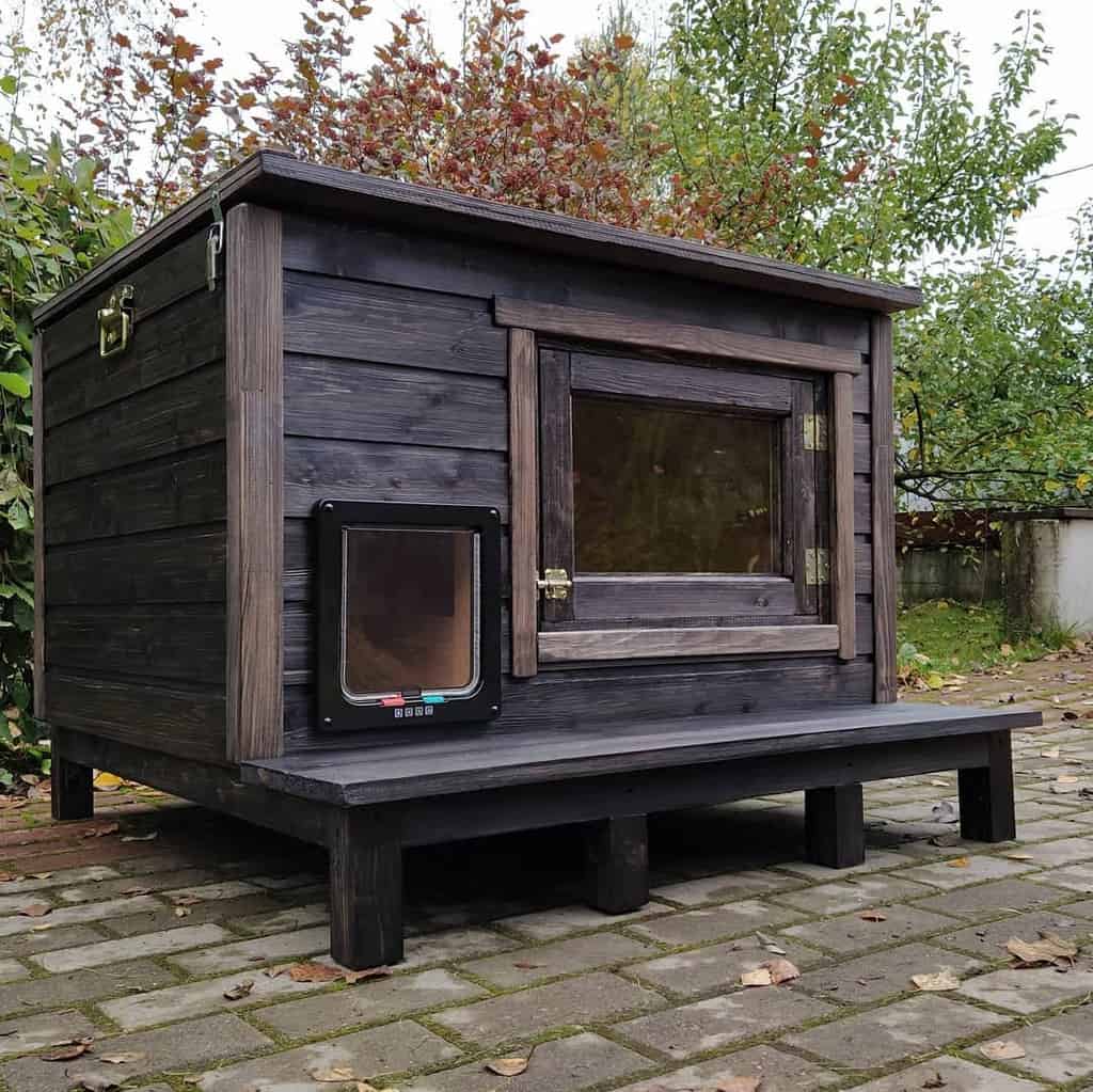 A wooden outdoor cat house with a clear window and small cat door, set on a paved patio, surrounded by trees with autumn leaves