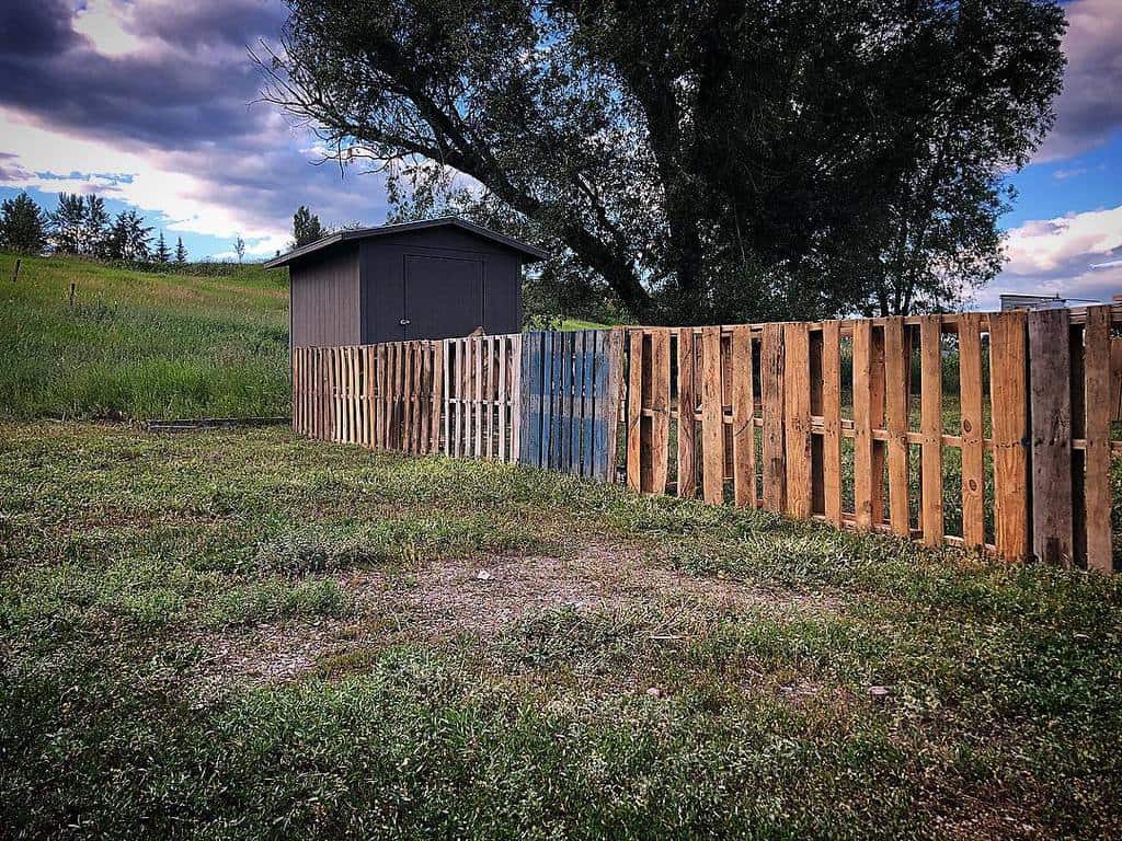 Rustic DIY pallet fence enclosing a small black shed in a rural landscape, blending naturally with the open grassy surroundings