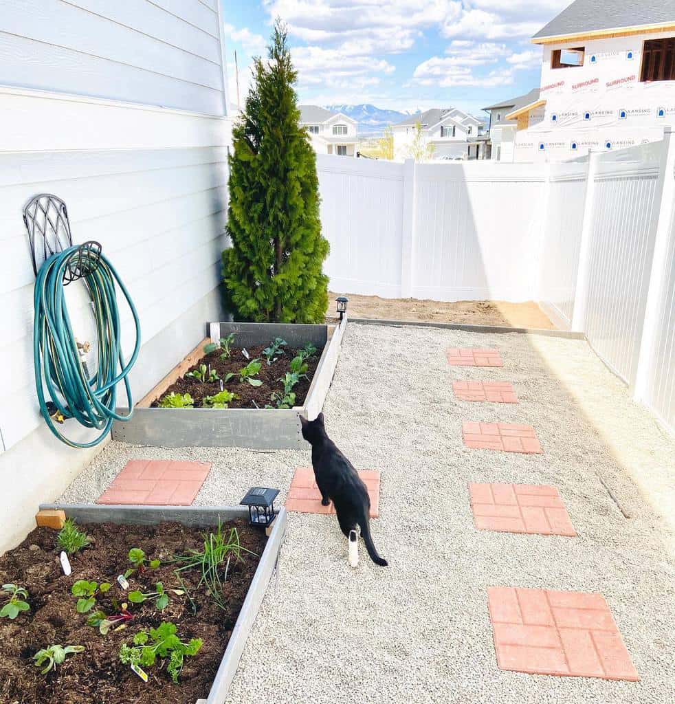 Side yard with raised garden beds, gravel path with stepping stones, black cat walking, and a neatly coiled garden hose on the wall